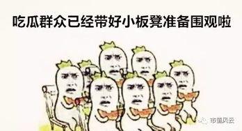 吃瓜群眾娛樂小能手,揭秘娛樂圈幕后趣聞