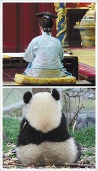 娛樂圈吃瓜群眾的句子,揭秘明星幕后故事
