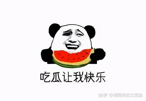 娛樂吃瓜文案圖片搞笑,娛樂吃瓜界的歡樂盛宴