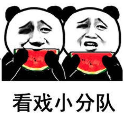 吃娛樂圈瓜表情包,吃瓜表情包盤點