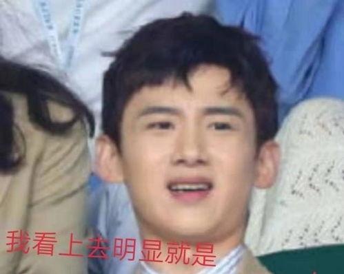 娛樂八卦吃瓜白敬亭,娛樂圈的“吃瓜達人”，揭秘明星幕后故事