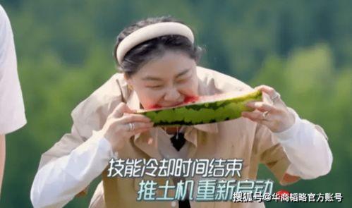 娛樂吃瓜地背后是誰,是誰在操控娛樂圈風(fēng)云？