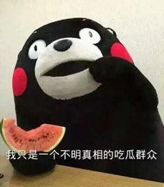 回復(fù)吃瓜表情的技巧,掌握表情技巧，輕松成為社交達人