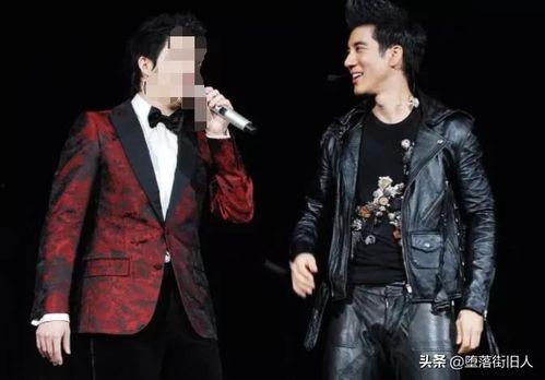 娛樂圈吃瓜王力宏,娛樂圈吃瓜王背后的故事與真相