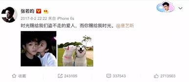 娛樂吃瓜君張翰,娛樂吃瓜界的風云人物