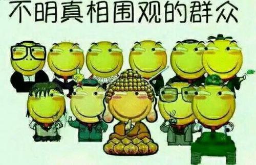 娛樂吃瓜文字游戲推薦,揭秘明星幕后那些事兒